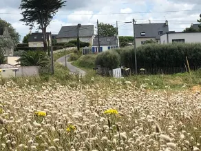 Maisonnette à 100 m de la plage - Image 5
