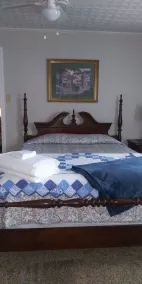 Family-friendly cottage - close to BMS, Watauga Lake, Asheville, Johnson City - Image 4