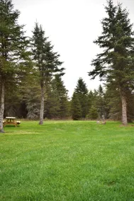 4 Private RV Campsites surrounded by \"Knotty Pines\", Minutes from ORV Trails. - Image 5