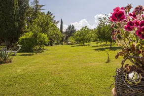 Villa Gemma, a natural wonder waiting to be rediscovered near Lake Bolsena - Image 5