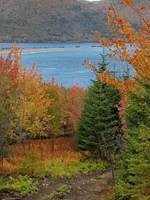 Raven's Roost Hike-in Sleeping Cabin at Sally's Brook Off-Grid Luxury Cabins - Image 5