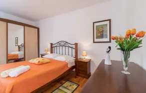 MAISON IMMERGÉE DANS LA NATURE - Image 3