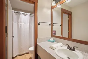 7th Mt Resort - Pool & Golf - Treetop Retreat - Image 2