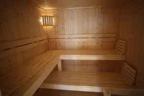 Modernes Ferienhaus mit Kamin, Garten und Eigener Sauna - Ferienhaus Meerfreude - Image 4