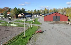 1 værelses kæledyrsvenligt hjem i. - Image 4