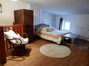 Very functional apartment in Auvergne near Clermont Ferrand - Image 5