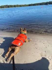 Perfect Lakefront Getaway on clear deep private lake 20 min from Gainesville  - Image 4