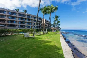 Paki Maui 303 - Image 3