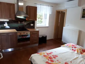 House Apartmaji Utrinek - with playroom, garage, terrase, sauna and jacuzzi - Image 5