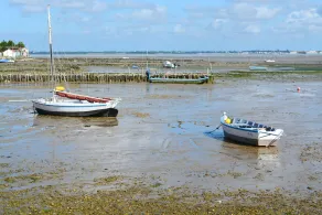 Hus ved foden af Ile d'Oleron, østerside, tæt på strande - Image 4