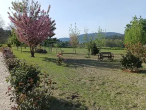 Quinta do Toutuço - Image 3