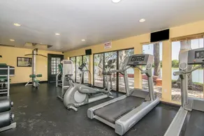 1 Bed 1 Bath Condo, quiet and well kept. Close to everything in Brandon! - Image 4