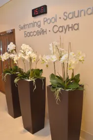 Victoria Hotel and SPA - Image 2