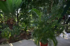 Casa La Ceiba - Image 3