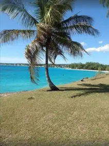 Relaxing, Amazing beach, pool, Cheap cars, quiet area, surfers paradise 2 - Image 4
