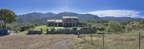 2 villas with swimming pool in an olive grove in Corsica - near Saint-Florent - Image 5