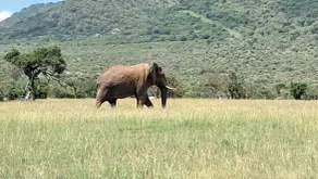 Ripo Wild Safaris - Image 4