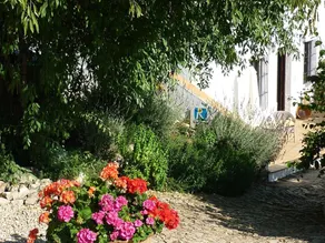 Casita Galgo - lugn och fred i Andalusiens historiska hjärta - Image 3