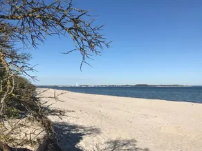 Strandsejler, Tyskland - Image 4