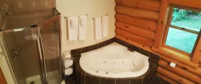 Family-friendly log home between Harbor Springs, Petoskey, and Mackinaw Island - Image 4