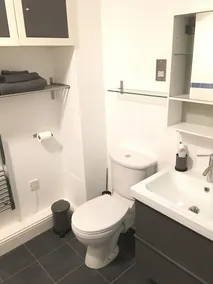 Amazing City Centre Penthouse Apartment - Image 5