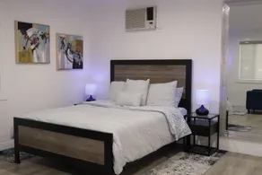 Newly Renovated Spacious Luxury Studio Guesthouse - Image 5