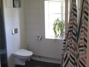 4 star holiday home in Åsa - Image 2