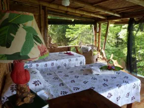 Haus mit 3 bis 5 Schlafzimmern und Meerblick auf Rainforest Estate, beladen mit Affen! - Image 2