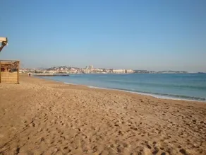 4 pers, en front de mer , vue mer ,  plage  à 20 m, parking privé, terrasse - Image 5