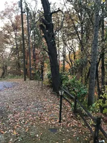 Smoky Mt. Views - Hot Tub - Easy Access Cabin - Private - Dog Friendly - Fenced - Image 3