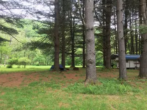Kettle Creek Fishing - 15’ Vintage Camper Stay on Private property Creek Access - Image 4