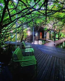 Lake House - Image 3