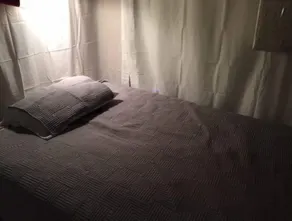 Private, Quiet, 240sqft Cottage--All to Yourself - Image 4