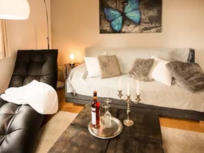Stylish apartment on the Weißer Hirsch with its own roof terrace - Image 4