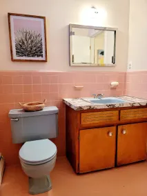 Mid-Century Palm Spring Lifestyle - Image 3