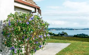 Mudbrick Cottages - Image 3