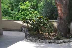 Hillside villa med pool - Image 5