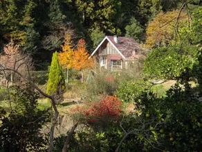 Log e casa per gli ospiti fatti a mano in un ampio giardino con prato - Image 5