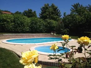 Holiday apartment with pool - Image 5