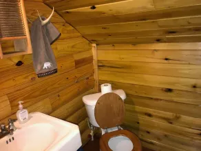 Private & Secluded Yatesville Lake Cabin Rental, Lakeview, Wifi, Kayaks, Arcade! - Image 3