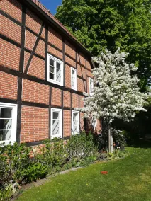 Apartment in quiet residential area, 3 min. walk to Trebbower See. - Image 5