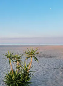 Appart Equipé Près de la Plage! Accès Piscine Saisonnière + Sauna - Image 5