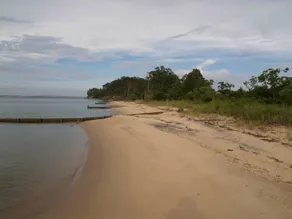 Riverfront - Rustic Cottage - 3+ acres - Wide Private Beach - Image 2