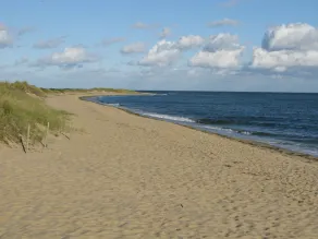 Steps to the Beach in East Falmouth, PET FRIENDLY &  clubhouse heated pool. - Image 3