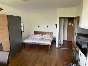 Ferienwohnung mit 46 qm - direkt am Ossiacher See &  Indoorpool - Image 3