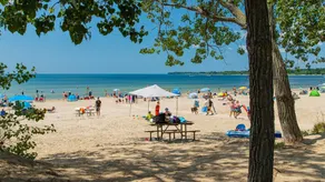 Walk to Beach and Downtown - Wellington PEC Cottage - Image 3