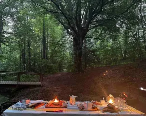 4 Seasons Glamping @ Alpine South - Image 4