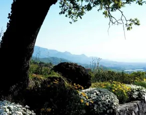 Villa Pace Dream View - Image 3