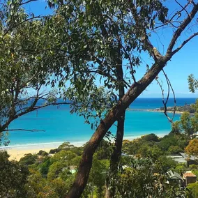 Ruhebasis @ Lorne - Image 5