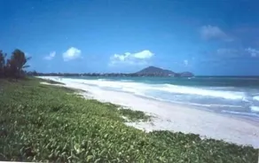 Trin til Kailua Beach - Opvarmet pool - Aircondition - Kontakt ejer / priser - Image 4